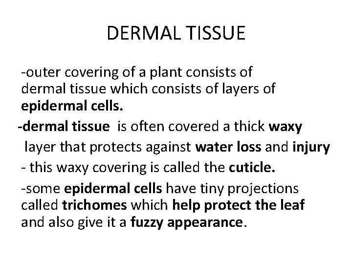 DERMAL TISSUE -outer covering of a plant consists of dermal tissue which consists of