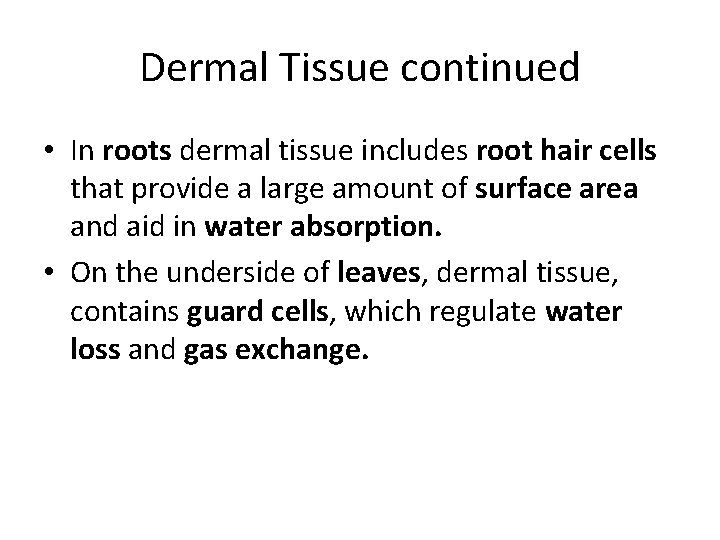 Dermal Tissue continued • In roots dermal tissue includes root hair cells that provide