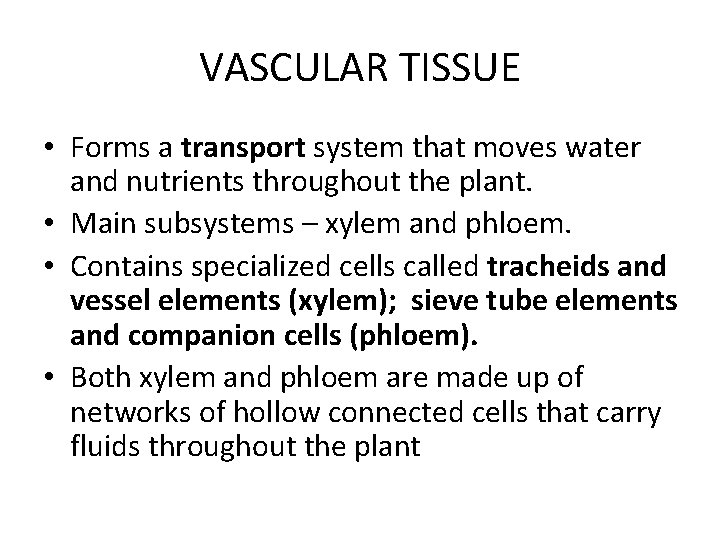 VASCULAR TISSUE • Forms a transport system that moves water and nutrients throughout the