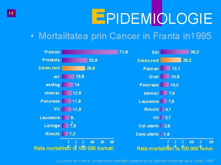 EPIDEMIOLOGIE 14 • Mortalitatea prin Cancer in Franta in 1995 71, 9 Plaman Prostata