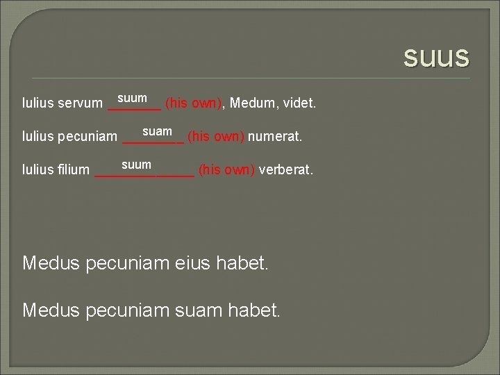 suus suum (his own), Medum, videt. Iulius servum _______ suam (his own) numerat. Iulius