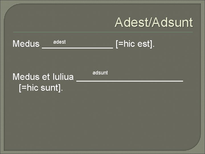 Adest/Adsunt adest Medus _______ [=hic est]. adsunt Medus et Iuliua ___________ [=hic sunt]. 