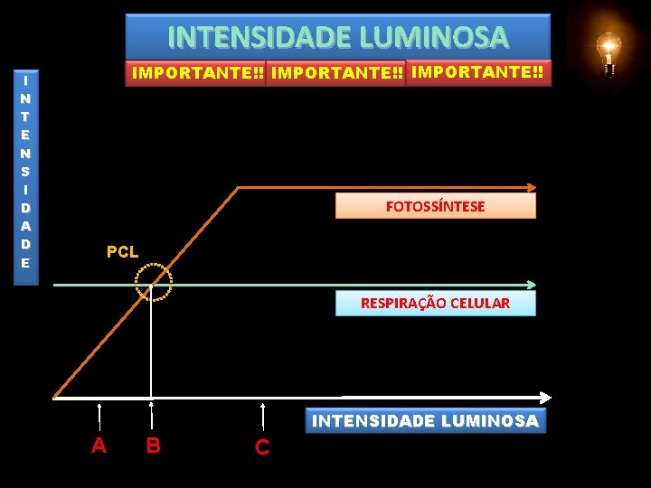INTENSIDADE LUMINOSA I N T E N S I D A D E IMPORTANTE!! INTENSIDADE LUMINOSA I N T E N S I D A D E IMPORTANTE!!