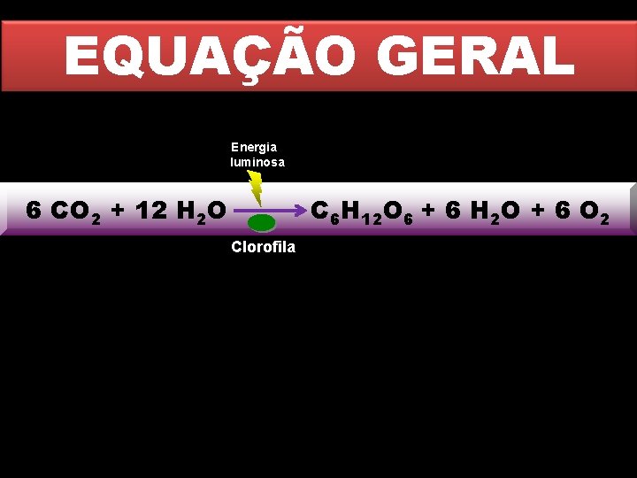 EQUAÇÃO GERAL Energia luminosa 6 CO 2 + 12 H 2 O C 6 EQUAÇÃO GERAL Energia luminosa 6 CO 2 + 12 H 2 O C 6