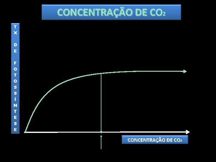 CONCENTRAÇÃO DE CO 2 T X D E F O T O S S CONCENTRAÇÃO DE CO 2 T X D E F O T O S S
