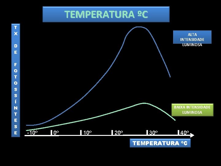 TEMPERATURA ºC T X ALTA INTENSIDADE LUMINOSA D E F O T O S TEMPERATURA ºC T X ALTA INTENSIDADE LUMINOSA D E F O T O S