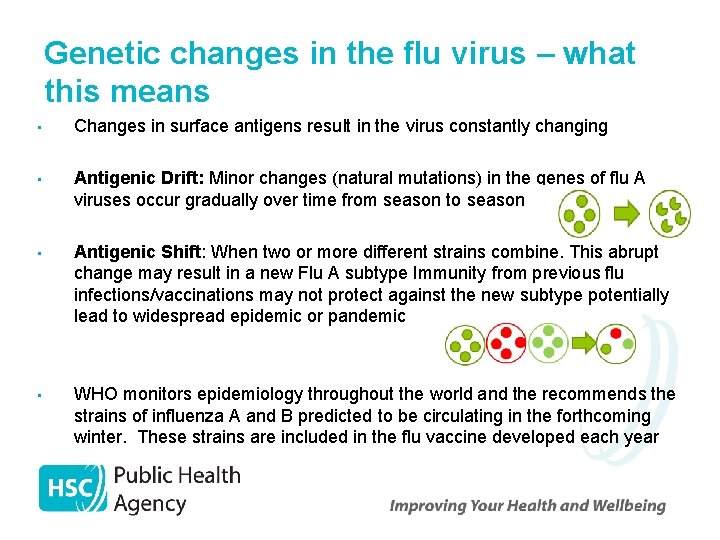 Genetic changes in the flu virus – what this means • Changes in surface