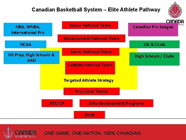 Canadian Basketball System – Elite Athlete Pathway Senior National Team NBA, WNBA, International Pro
