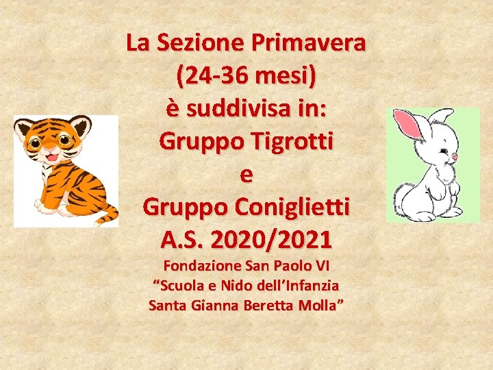 La Sezione Primavera (24 -36 mesi) è suddivisa in: Gruppo Tigrotti e Gruppo Coniglietti