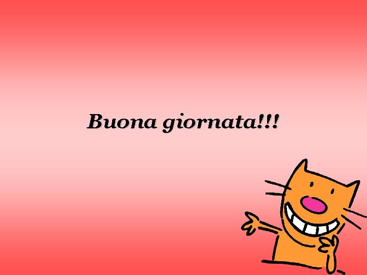 Buona giornata!!! 