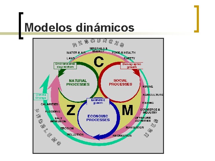 Modelos dinámicos 