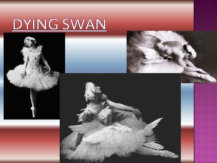DYING SWAN 