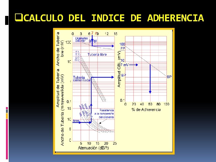 q. CALCULO DEL INDICE DE ADHERENCIA 