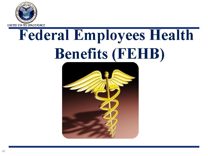 UNITED STATES SPACE FORCE Federal Employees Health Benefits (FEHB) 47 