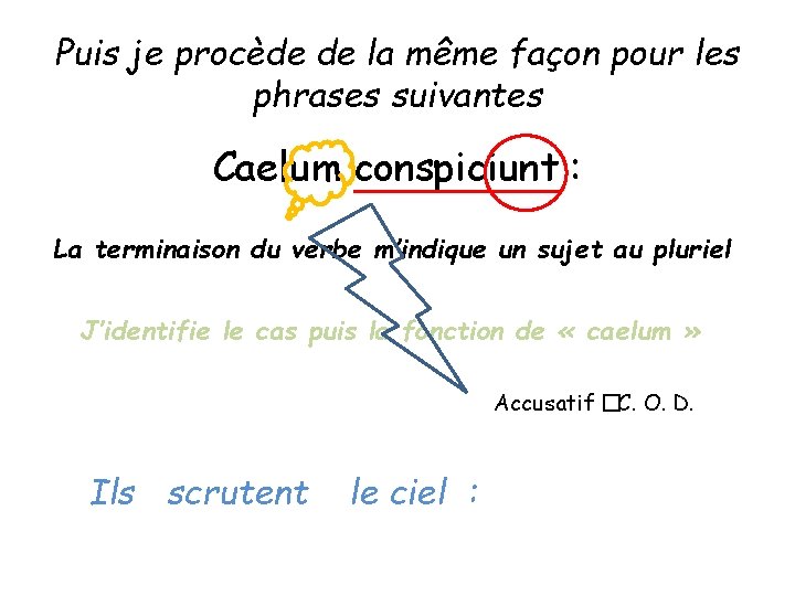 Puis je procède de la même façon pour les phrases suivantes Caelum conspiciunt :