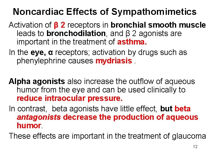 Noncardiac Effects of Sympathomimetics Activation of β 2 receptors in bronchial smooth muscle leads