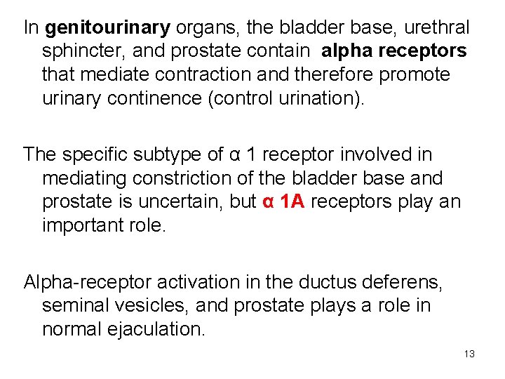 In genitourinary organs, the bladder base, urethral sphincter, and prostate contain alpha receptors that
