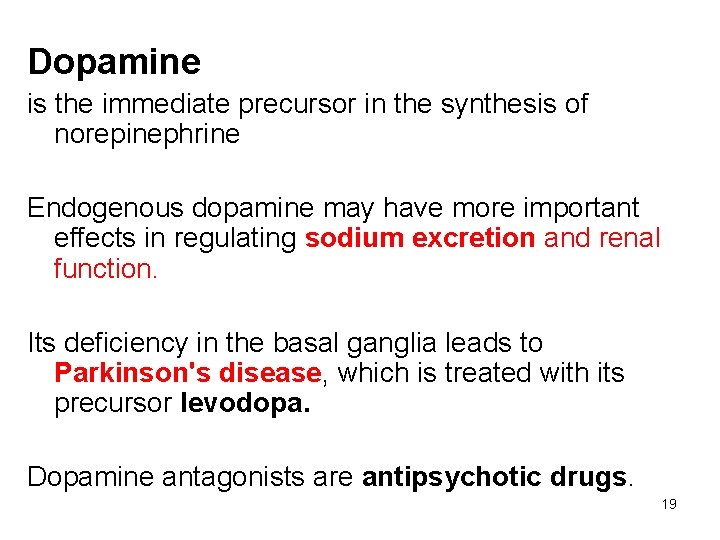 Dopamine is the immediate precursor in the synthesis of norepinephrine Endogenous dopamine may have