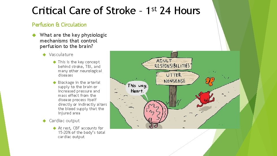 Critical Care of Stroke – 1 st 24 Hours Perfusion & Circulation What are Critical Care of Stroke – 1 st 24 Hours Perfusion & Circulation What are