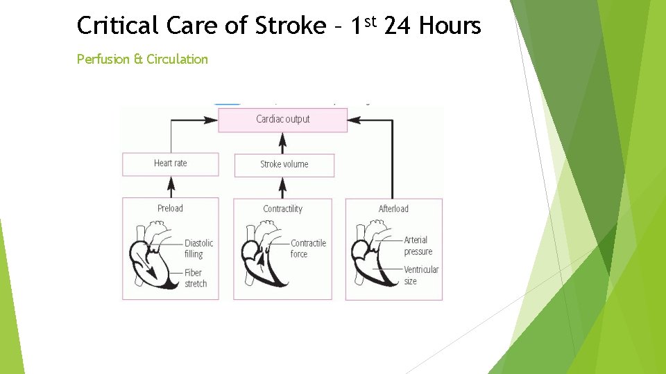 Critical Care of Stroke – 1 st 24 Hours Perfusion & Circulation Critical Care of Stroke – 1 st 24 Hours Perfusion & Circulation