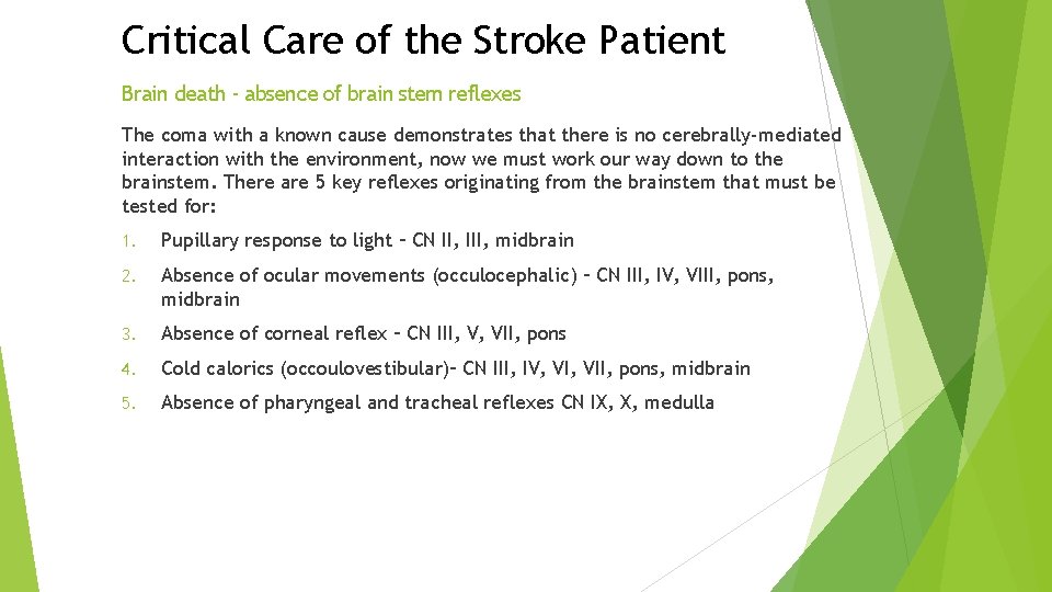 Critical Care of the Stroke Patient Brain death - absence of brain stem reflexes Critical Care of the Stroke Patient Brain death - absence of brain stem reflexes