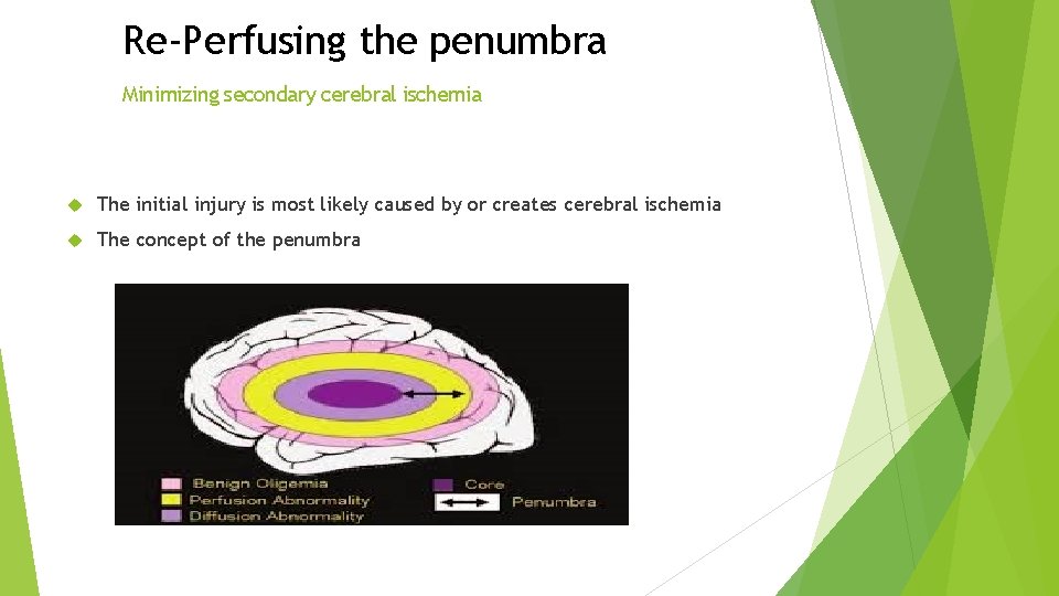 Re-Perfusing the penumbra Minimizing secondary cerebral ischemia The initial injury is most likely caused Re-Perfusing the penumbra Minimizing secondary cerebral ischemia The initial injury is most likely caused