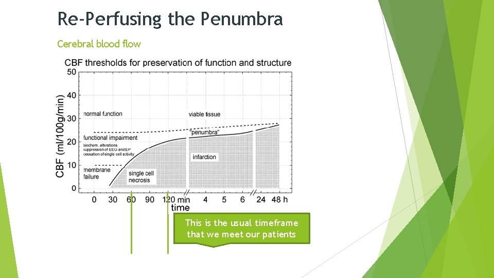 Re-Perfusing the Penumbra Cerebral blood flow This is the usual timeframe that we meet Re-Perfusing the Penumbra Cerebral blood flow This is the usual timeframe that we meet