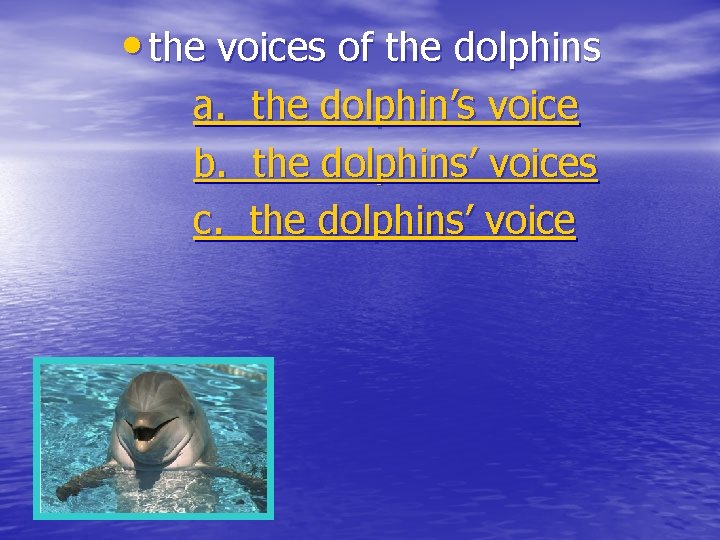  • the voices of the dolphins a. b. c. the dolphin’s voice the