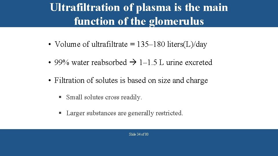 Ultrafiltration of plasma is the main function of the glomerulus • Volume of ultrafiltrate