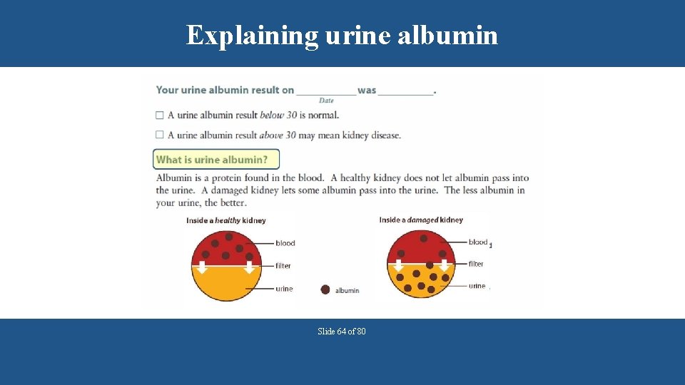 Explaining urine albumin Slide 64 of 80 