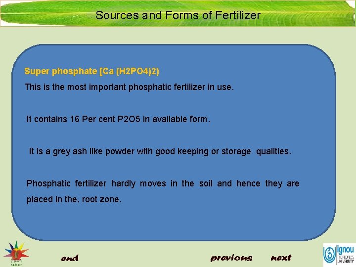 Sources and Forms of Fertilizer Super phosphate [Ca (H 2 PO 4)2) This is