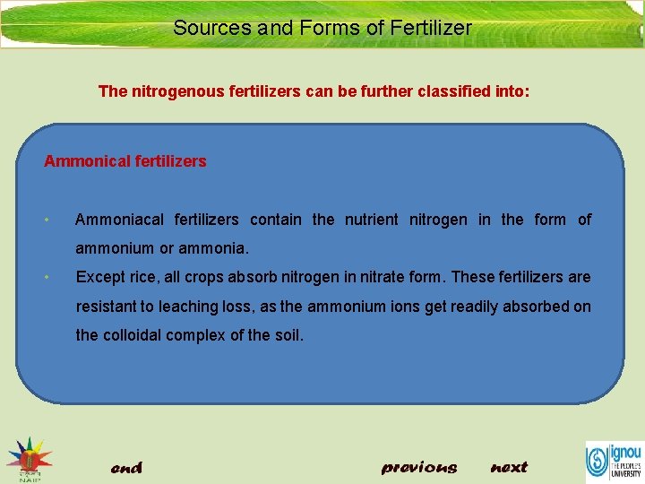 Sources and Forms of Fertilizer The nitrogenous fertilizers can be further classified into: Ammonical