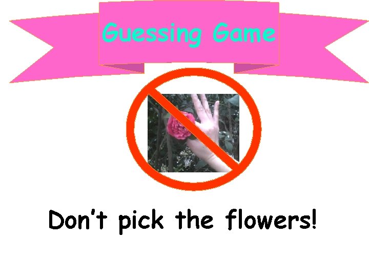Guessing Game Don’t pick the flowers! 