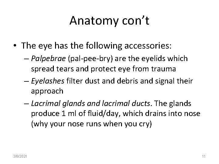 Anatomy con’t • The eye has the following accessories: – Palpebrae (pal-pee-bry) are the