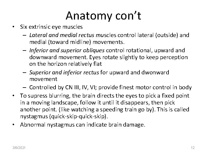 Anatomy con’t • Six extrinsic eye muscles – Lateral and medial rectus muscles control
