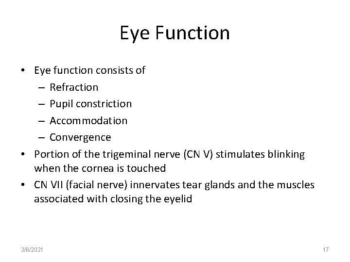 Eye Function • Eye function consists of – Refraction – Pupil constriction – Accommodation