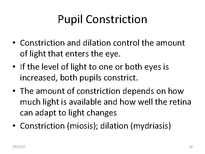 Pupil Constriction • Constriction and dilation control the amount of light that enters the