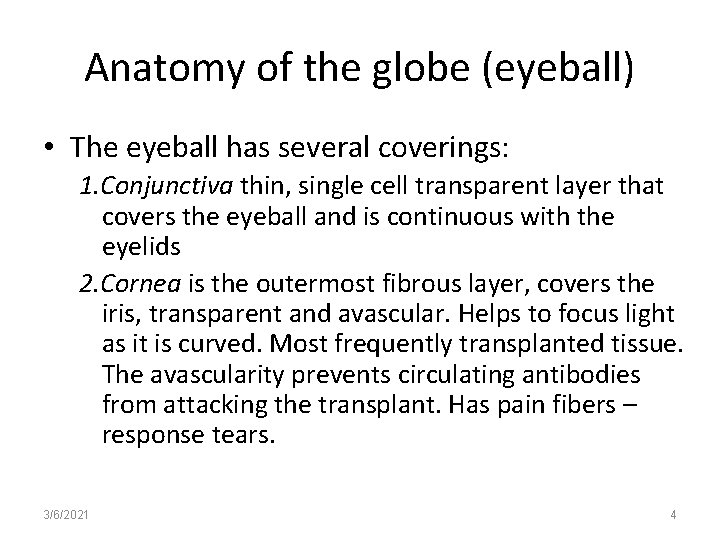 Anatomy of the globe (eyeball) • The eyeball has several coverings: 1. Conjunctiva thin,
