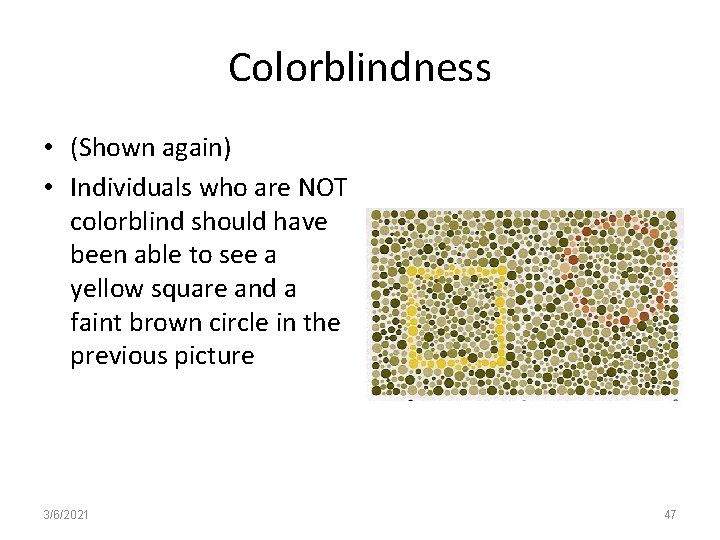 Colorblindness • (Shown again) • Individuals who are NOT colorblind should have been able