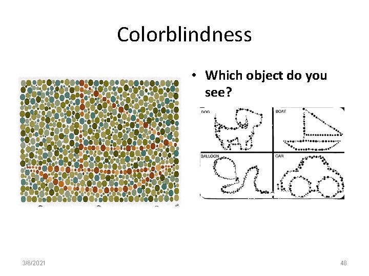 Colorblindness • Which object do you see? 3/6/2021 48 
