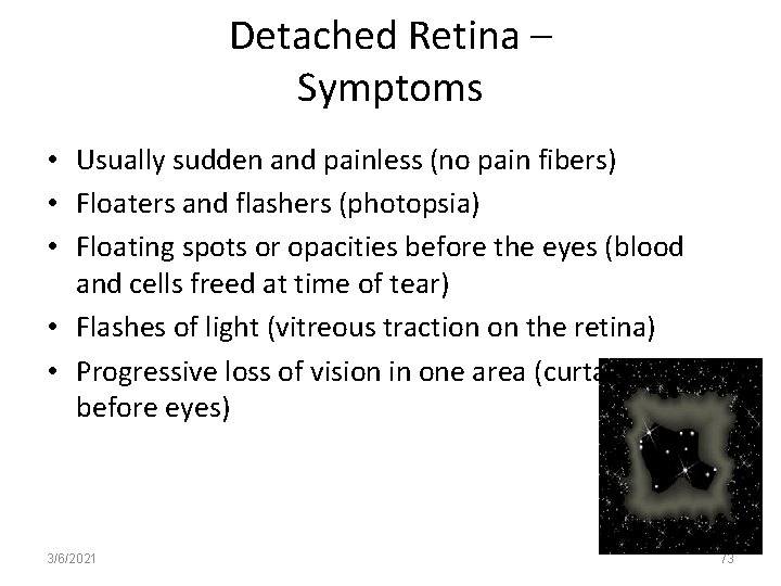 Detached Retina – Symptoms • Usually sudden and painless (no pain fibers) • Floaters