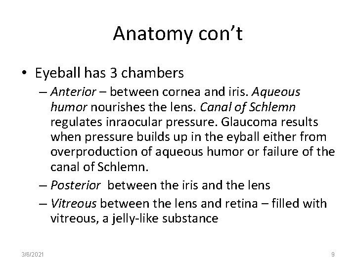 Anatomy con’t • Eyeball has 3 chambers – Anterior – between cornea and iris.