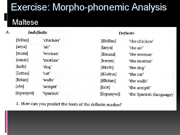 Exercise: Morpho-phonemic Analysis Maltese 