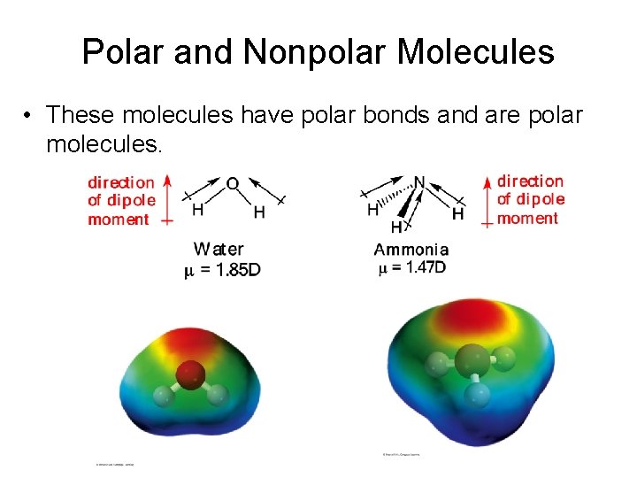 Polar and Nonpolar Molecules • These molecules have polar bonds and are polar molecules.