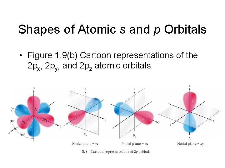 Shapes of Atomic s and p Orbitals • Figure 1. 9(b) Cartoon representations of