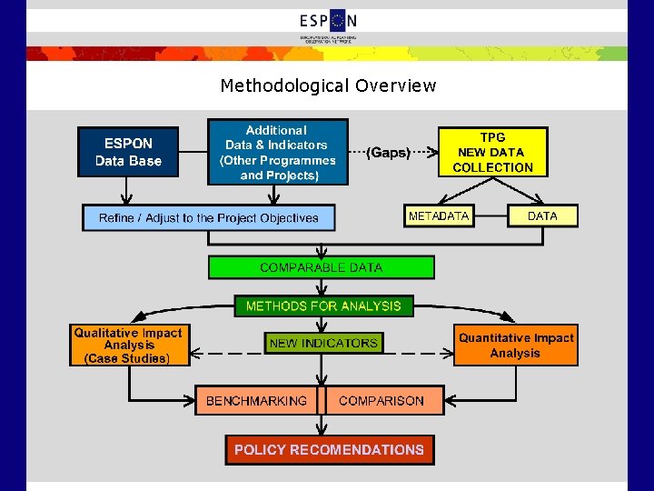 Methodological Overview 