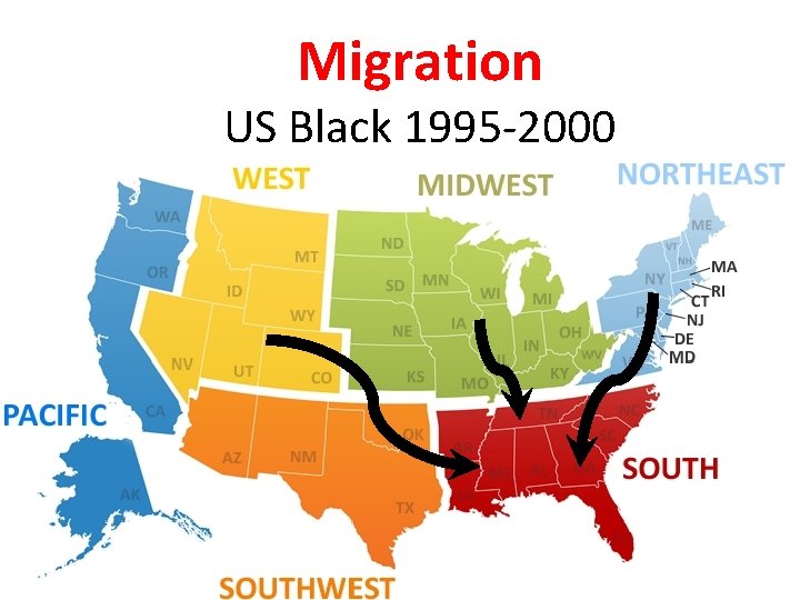 Migration US Black 1995 -2000 