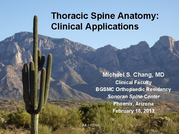 Thoracic Spine Anatomy: Clinical Applications Michael S. Chang, MD Clinical Faculty BGSMC Orthopaedic Residency