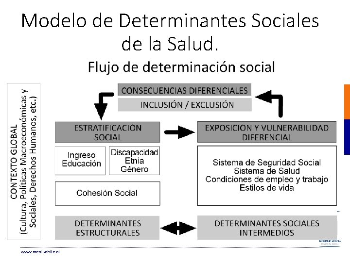 Modelo de Determinantes Sociales de la Salud. www. med. uchile. cl Modelo de Determinantes Sociales de la Salud. www. med. uchile. cl
