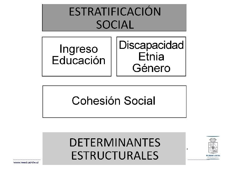www. med. uchile. cl www. med. uchile. cl
